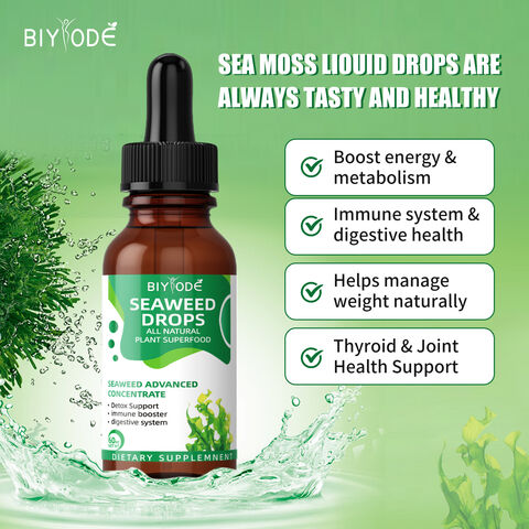 Expédition Rapide Stock Disponible En Gros Mousse De Mer Irlandaise Supplément En Gros Matière Première Biologique Soutien Digestif Gouttes Liquides De Seamoss