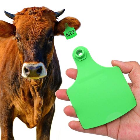 Farbenfrohe TPU-Material-Ohrmarke aus Kunststoff für Tiere, Schweine-Tracking-Applikator, Ohrmarke für Nutztiere