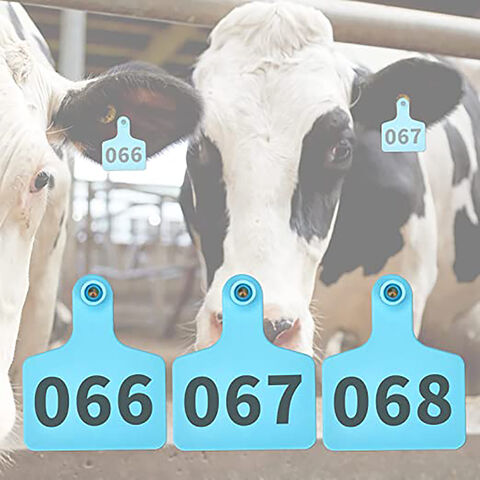 Farbenfrohe TPU-Material-Ohrmarke aus Kunststoff für Tiere, Schweine-Tracking-Applikator, Ohrmarke für Nutztiere