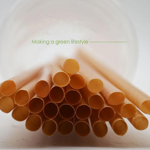 Atacado de canudos de cana-de-açúcar biodegradáveis e ecológicos, canudos descartáveis de bagaço de cana-de-açúcar PLA para bebidas, bares e festas