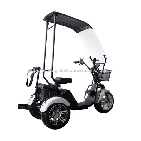 Tricycles électriques pour adultes 1000W 60V avec certification CE à prix d'usine