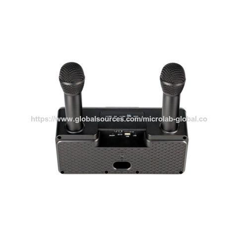 Karaoke Bluetooth Lautsprecher mit Mikrofon, Familien-KTV Bluetooth Karaoke-Lautsprecher, 2 Mikrofone