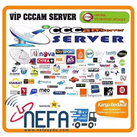 8Lines Egygolds Oscam Europa | Schneller & Stabiler Server | Kostenloser Test | Ecam Code | 12 Monate | Für Gtmedia V8X V9 Prime V7 S5X
