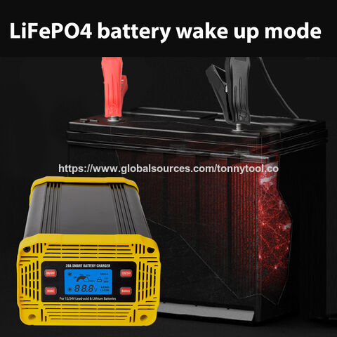 Chargeur de Batterie Intelligent Auto 12V 24V 10A 20A avec Protection Contre Surcharge/Court-Circuit pour Batteries Plomb-Acide et Lithium Automobiles et Motos