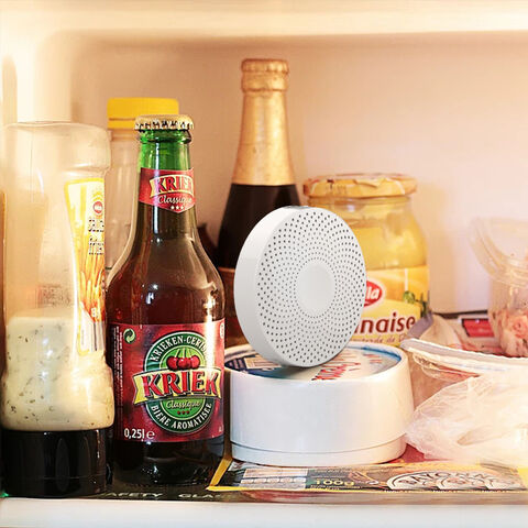 Portable Small Air Purifier Anion Ozone Generator Air Purifier For Sale Disinfector Home Sterilizer