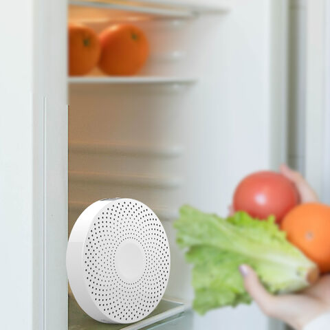 Portable Small Air Purifier Anion Ozone Generator Air Purifier For Sale Disinfector Home Sterilizer