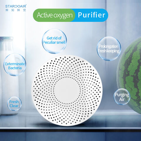 Portable Small Air Purifier Anion Ozone Generator Air Purifier For Sale Disinfector Home Sterilizer