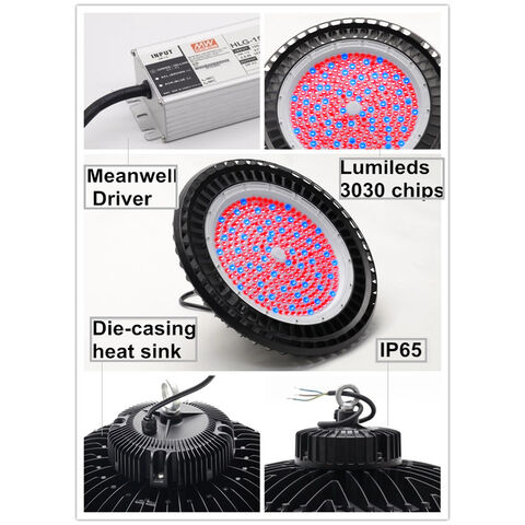 Lâmpada LED de Crescimento de 100W com Espectro Azul Vermelho e Eficiência Fotossintética Aprimorada para Plantas de Interior - Luz LED para Horticultura Indoor