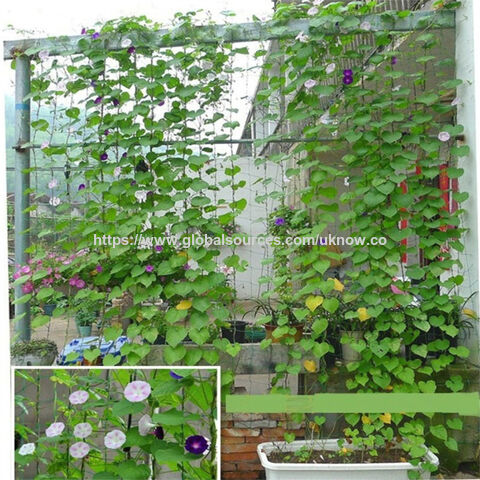 Malla de entutorado para plantas de jardinería - Red de soporte para cultivos
