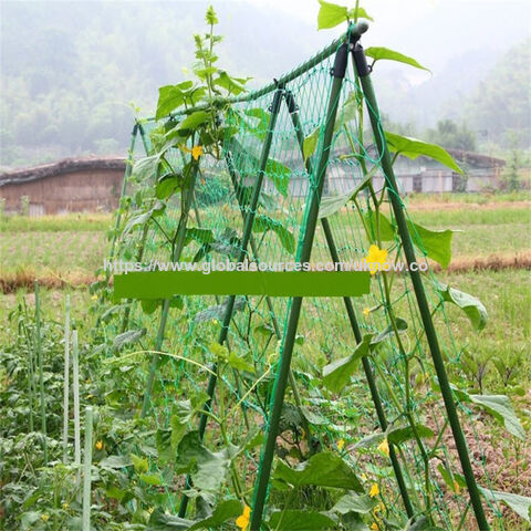 Malla de entutorado para plantas de jardinería - Red de soporte para cultivos