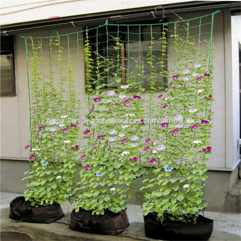 Malla de entutorado para plantas de jardinería - Red de soporte para cultivos