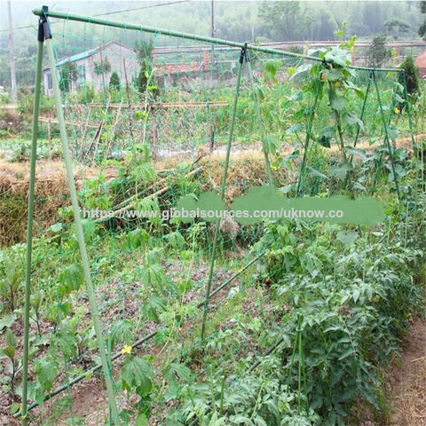 Malla de entutorado para plantas de jardinería - Red de soporte para cultivos