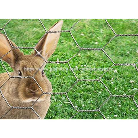 شبكة سلكية قفص الدجاج، سياج حديدي، شبكة سداسية، شبكة سلكية عالية الجودة. مورد.