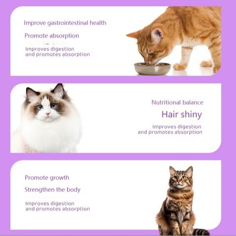 Suplemento Nutricional Balanceado para Gatos con Multivitaminas B para Reforzar la Inmunidad y Apoyo a la Desinfección