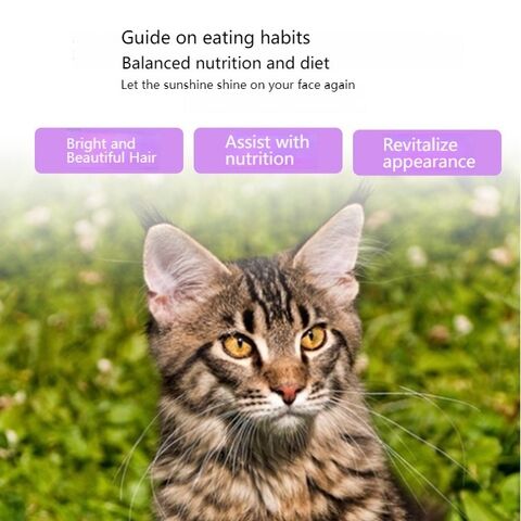 Suplemento Nutricional Balanceado para Gatos con Multivitaminas B para Reforzar la Inmunidad y Apoyo a la Desinfección
