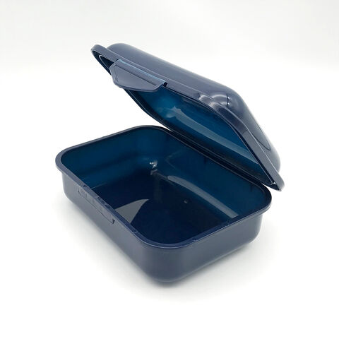 Boîte à Bento pour Enfants avec Impression de Dessins Animés Mignons, Coque Facile à Ouvrir, Boîte à Déjeuner Monobloc