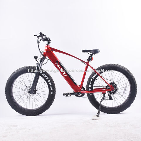 Vélo électrique personnalisé 26 pouces Fat Tire avec moteur arrière puissant de 500 W et batterie au lithium 48 V 10.4 AH, cadre en aluminium