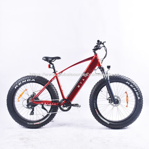 Vélo électrique personnalisé 26 pouces Fat Tire avec moteur arrière puissant de 500 W et batterie au lithium 48 V 10.4 AH, cadre en aluminium