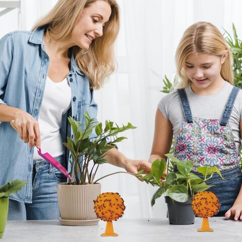 Fruchtfliegenfalle zum Aufhängen im Freien, Fruchtfliegenvernichter für Zuhause, Fruchtfliegen-Fangkugel-Aufkleber, Insekten-Klebebälle