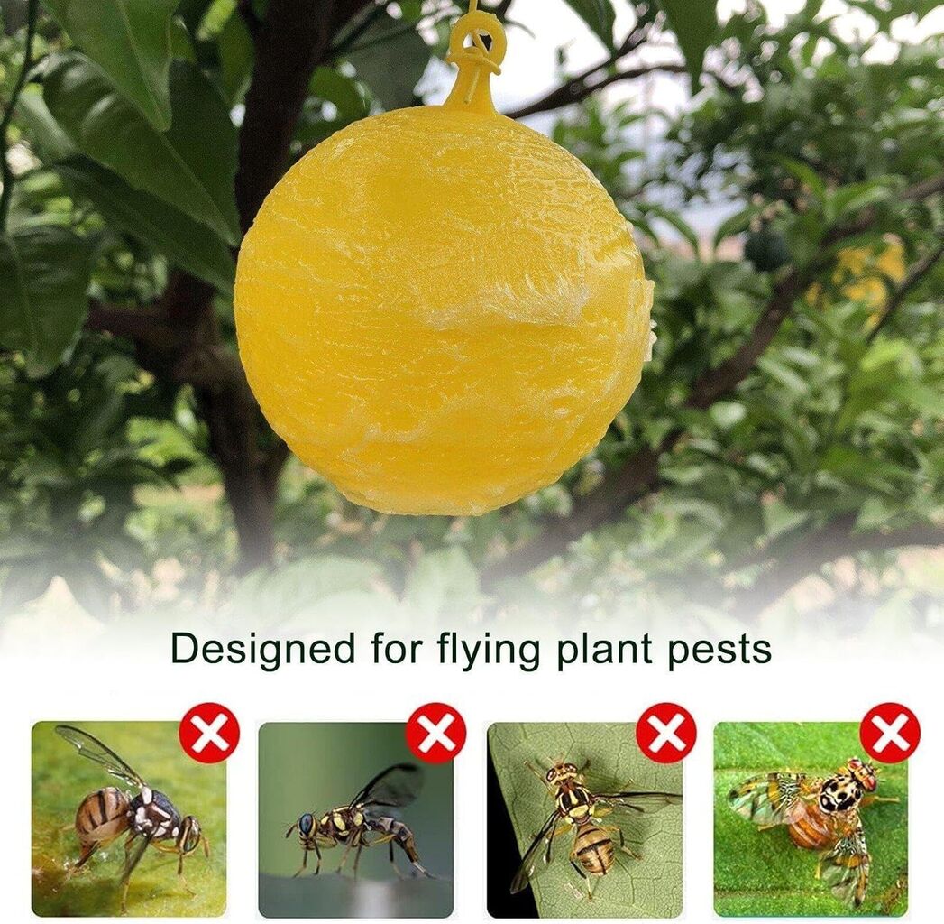 Ball Fly Insect Fruit Fly Trap Ball Fly Trap Outdoor Hanging Fly Sticky Ball Flying ...