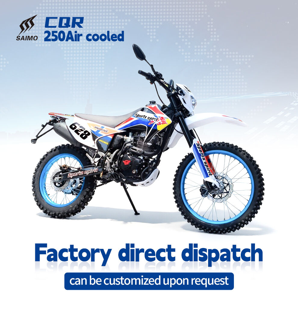 2025 Adult 250cc 4-stroke Off-road Dirt Bike With High-performance