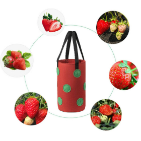 Plant Grow Bag Garden Hanging Strawberry Grow Bag Tomato Vegetable Bare Root Planting Bag supplier