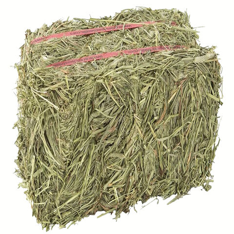 Heno de Alfalfa de Calidad / Heno de Timothy y Trébol de Lucerna en Pacas - Venta al por mayor para alimentación animal
