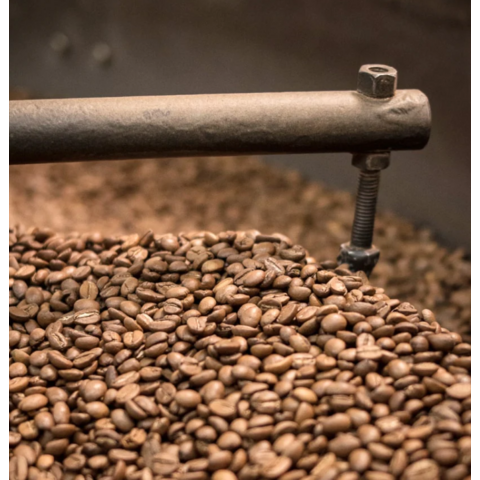 Export von hochwertigen Maragogipe-Kaffeebohnen, Excelsa-Kaffeebohnen, Kopi Luwak-Kaffeebohnen / Grüne Arabica-Kaffeebohnen / Brasilianisch