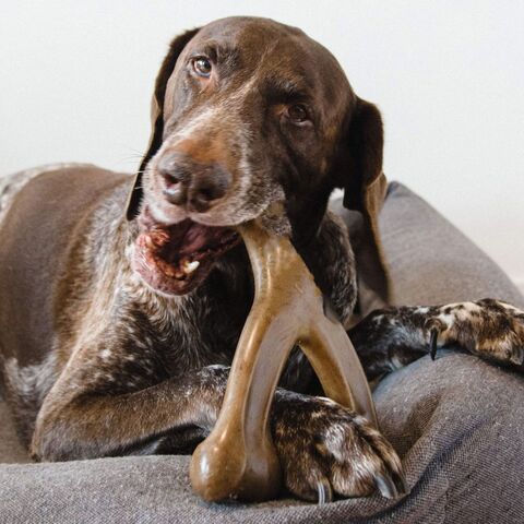 Palitos para la dentición de cachorros, juguetes duraderos para masticar perros, adecuados para masticación intensa, juguetes para masticar para perros con masticación agresiva, sabor a tocino real