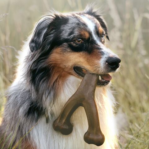 Palitos para la dentición de cachorros, juguetes duraderos para masticar perros, adecuados para masticación intensa, juguetes para masticar para perros con masticación agresiva, sabor a tocino real