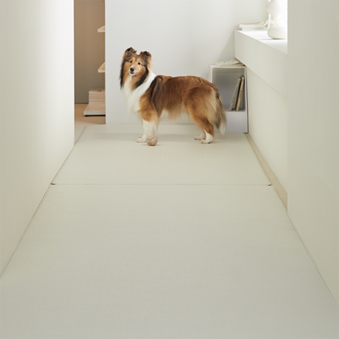 Umweltfreundliche PVC-Spielmatte für Haustiere, weiche, rutschfeste Schaumstoff-Bodenmatte für Hunde und Katzen, Spielzimmer, Krabbeln, Yoga