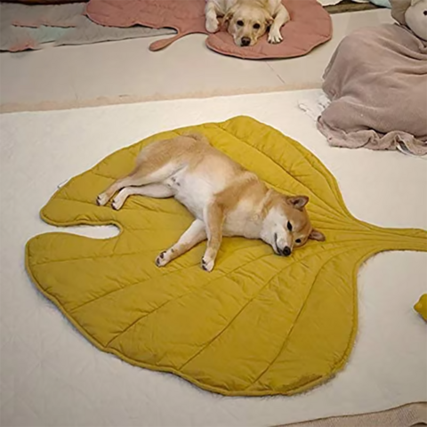 OEM ODM Pack Öko-Garn Kleine Schlafmatte Bett mit Luxus für Hunde Weiche Fleece Winter Warme Haustierdecke