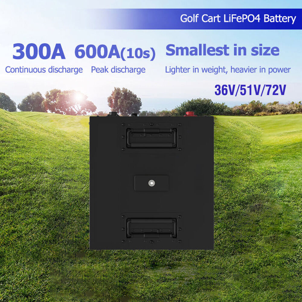 Electric Golf Carts Lithium Battery 48v 100ah Li Ion Battery Pack 48v ...