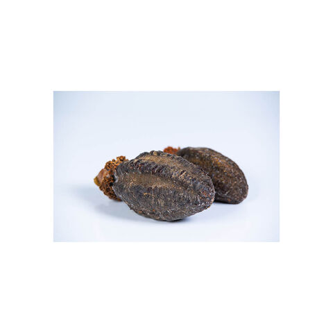 Getrocknete isländische Seegurke für Gourmet-Gerichte