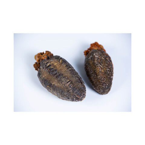 Getrocknete isländische Seegurke für Gourmet-Gerichte