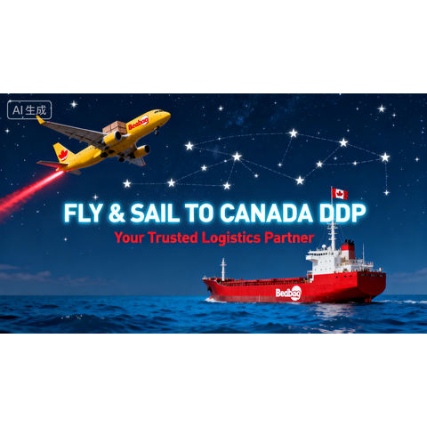 Linha especial de frete aéreo e marítimo internacional para carga grande para o Canadá - DDP (Entregue com direitos pagos)