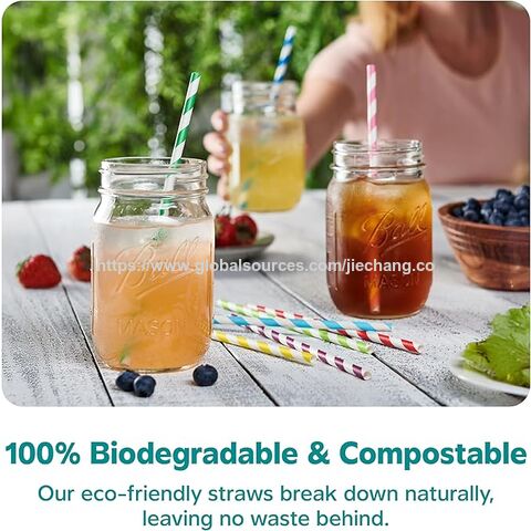 100% Biodegradable Striped Paper Drinking Straws 100pcs/bag Individual Packaging Food Safe Ink Single-use Straws