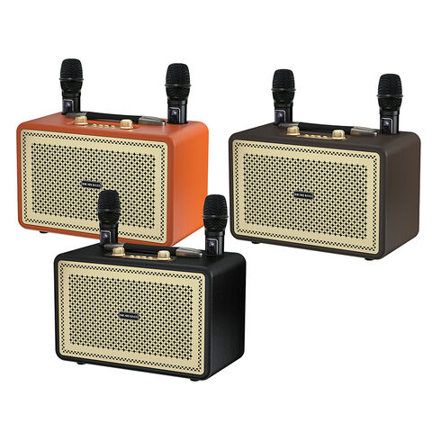 Haut-parleur Bluetooth sans fil portable 5.3 Son stéréo Basses profondes Microphone intégré pour karaoké Fête en plein air