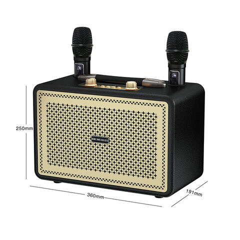 Haut-parleur Bluetooth sans fil portable 5.3 Son stéréo Basses profondes Microphone intégré pour karaoké Fête en plein air