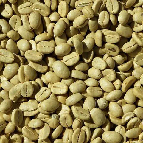Heiß begehrte geröstete Bio-Arabica-Kaffeebohnen