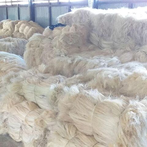 بيع رخيص لألياف السيزال عالية الجودة، قنب السيزال، ألياف السيزال الطبيعية بدرجة UG للبيع بأسعار رخيصة
