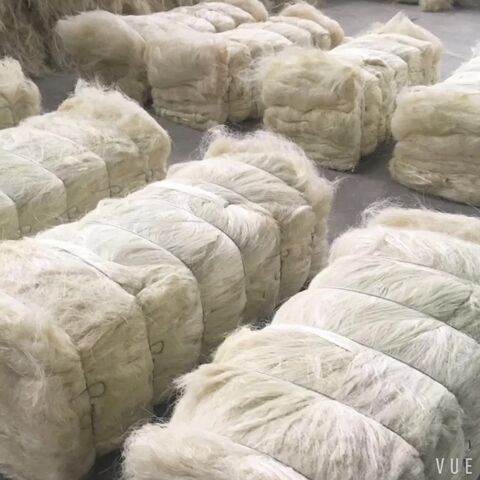 بيع رخيص لألياف السيزال عالية الجودة، قنب السيزال، ألياف السيزال الطبيعية بدرجة UG للبيع بأسعار رخيصة