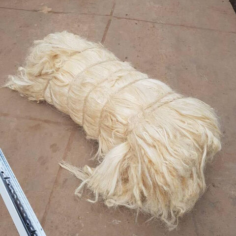 بيع رخيص لألياف السيزال عالية الجودة، قنب السيزال، ألياف السيزال الطبيعية بدرجة UG للبيع بأسعار رخيصة