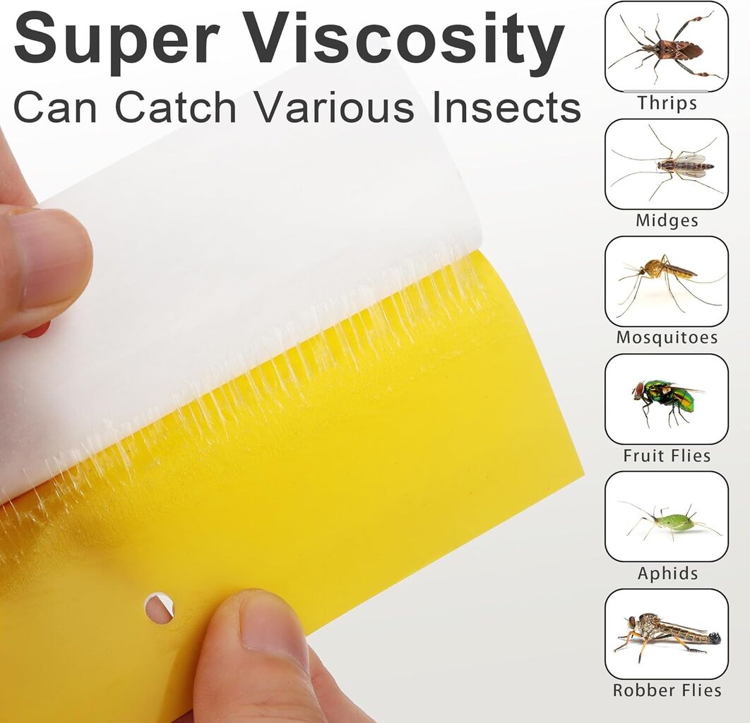 Buy China Wholesale High-efficiency Sticky Bug Traps, Adhesive Insect ...