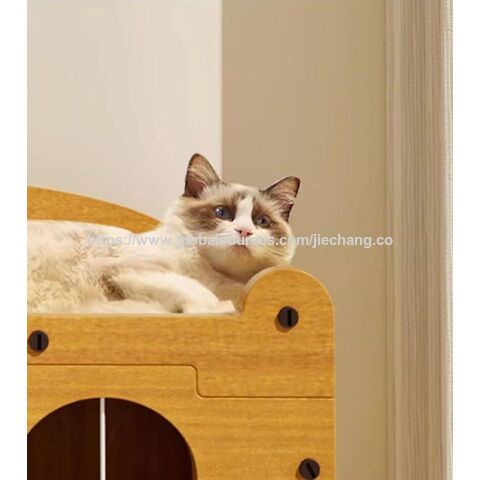 Arranhador para gatos para todas as estações, caixa de areia para gatos, estrutura de escalada para gatos integrada, brinquedo anti-desgaste para gatos