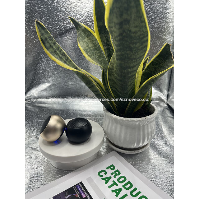 Mini Altavoces Inalámbricos Portátiles Nuevo Diseño para Fiestas Caseras Interiores y Exteriores Idea de Regalo de Cumpleaños Colorida Sonido de Alta Calidad