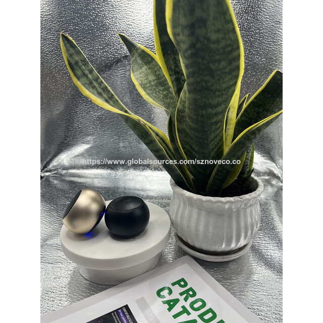 Mini Altavoces Inalámbricos Portátiles Nuevo Diseño para Fiestas Caseras Interiores y Exteriores Idea de Regalo de Cumpleaños Colorida Sonido de Alta Calidad