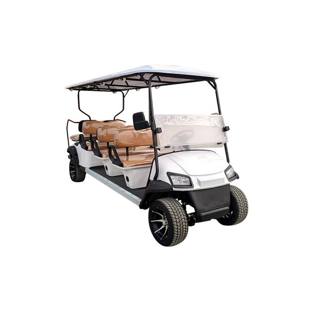 Carritos de golf, carrito de golf eléctrico, transporte de pasajeros para aeropuertos, coche de recepción para hoteles y turistas