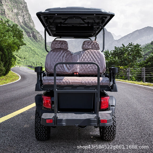 Carritos de golf, carrito de golf eléctrico, transporte de pasajeros para aeropuertos, coche de recepción para hoteles y turistas