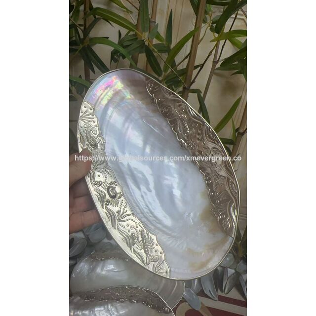 Elegantes Bandejas y Almacenamiento con Forma de Concha: Fruteros de Concha Natural, Bandejas para Aperitivos y Joyeros para una Vida Inspirada en la Costa